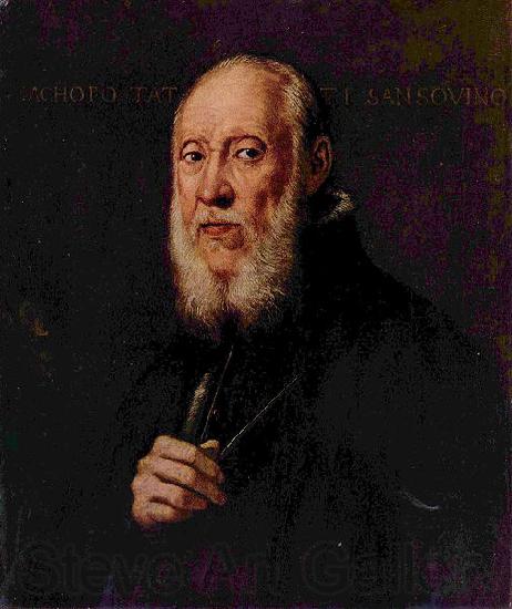 Jacopo Tintoretto Portrat des Bildhauers Jacopo Sansovino Spain oil painting art